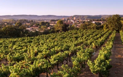 [Laudun] Laudun est le 18e Cru des Côtes du Rhône