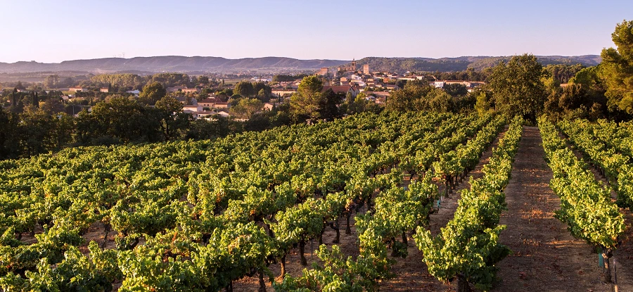 Laudun Cru Côtes Rhône