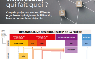 Filière vitivinicole, qui fait quoi ?