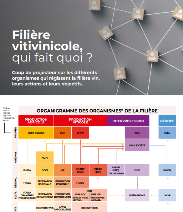 Filière vitivinicole, qui fait quoi ?