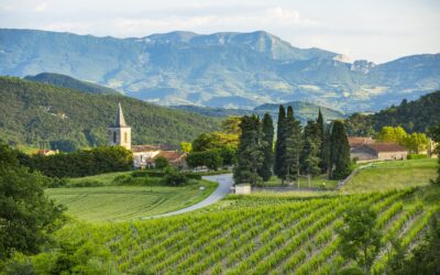  [Vallée du Rhône] Une nouvelle identité visuelle : « La bulle côté nature »