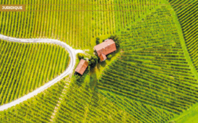 Vente d’un domaine viticole : anticiper, auditer et sécuriser chaque étape du processus