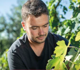 [Condrieu] Julien Merlin, l’enchanteur du Condrieu
