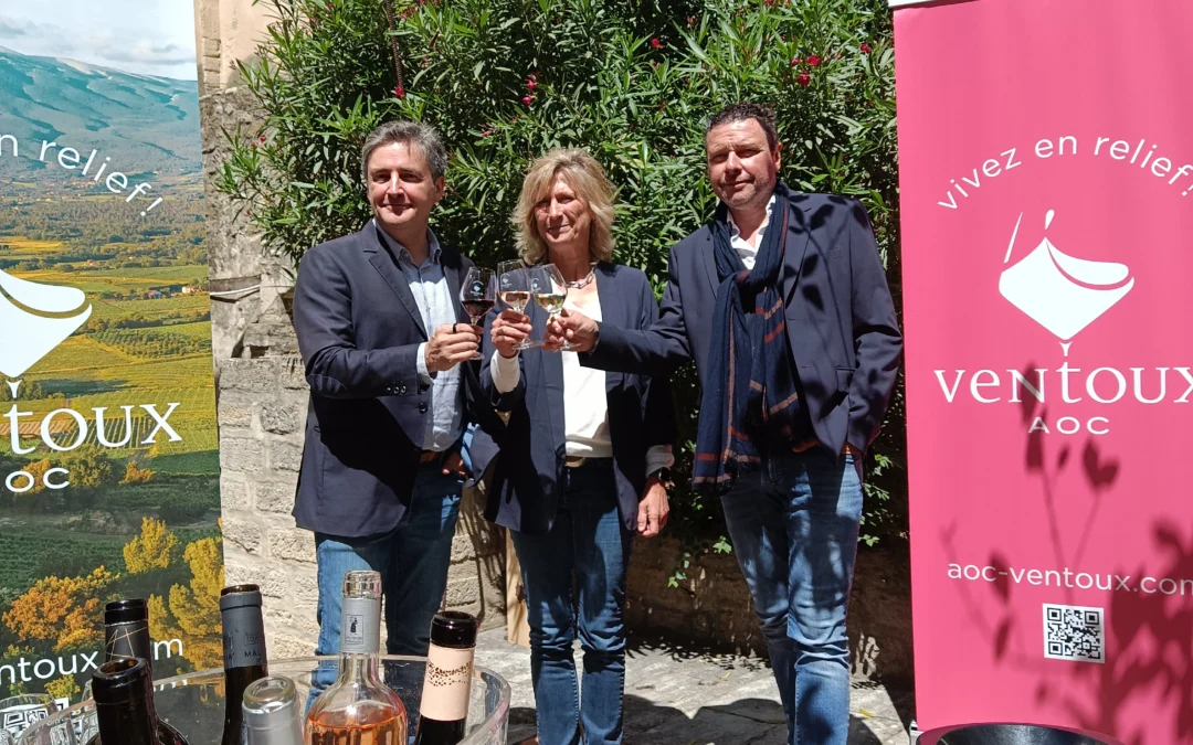  [Vallée du Rhône] La saison oenotouristique du Ventoux est officiellement lancée !