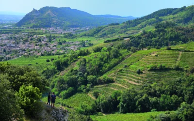  [CRU des CDR] Objectif UNESCO pour les Crus septentrionaux