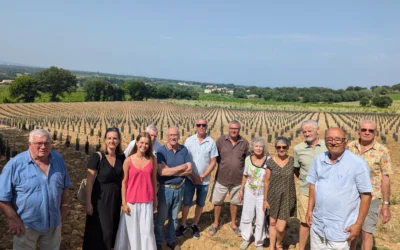  [Châteauneuf du Pape] Une nouvelle parcelle pédagogique en Châteauneuf-du-Pape