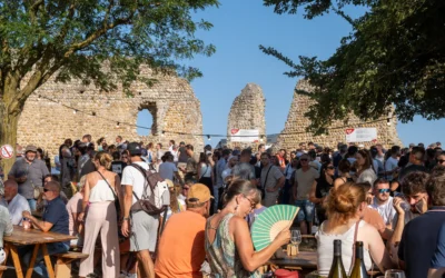 La Vallée du Rhône septentrionale en fête cet été